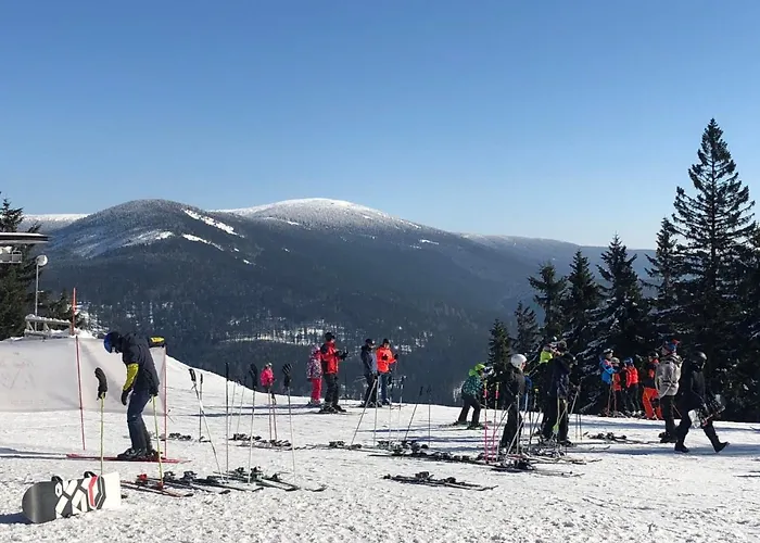 141 By Interhome Harrachov